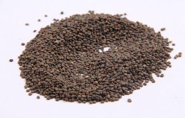 中医眼科常用药对治疗风寒犯目、目痛干涩、迎