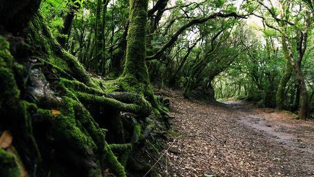 2018最励志的句子,句句充满正能量!