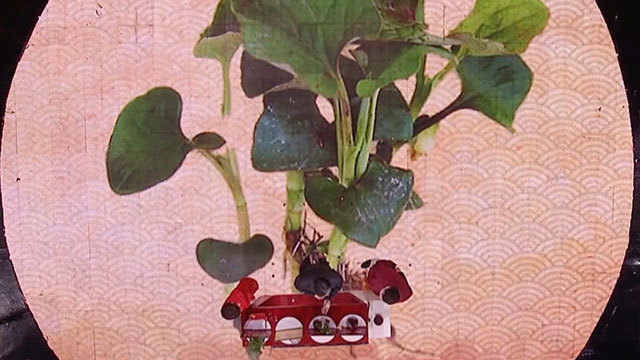 《养生堂》20171221破解肿瘤谣言（二）