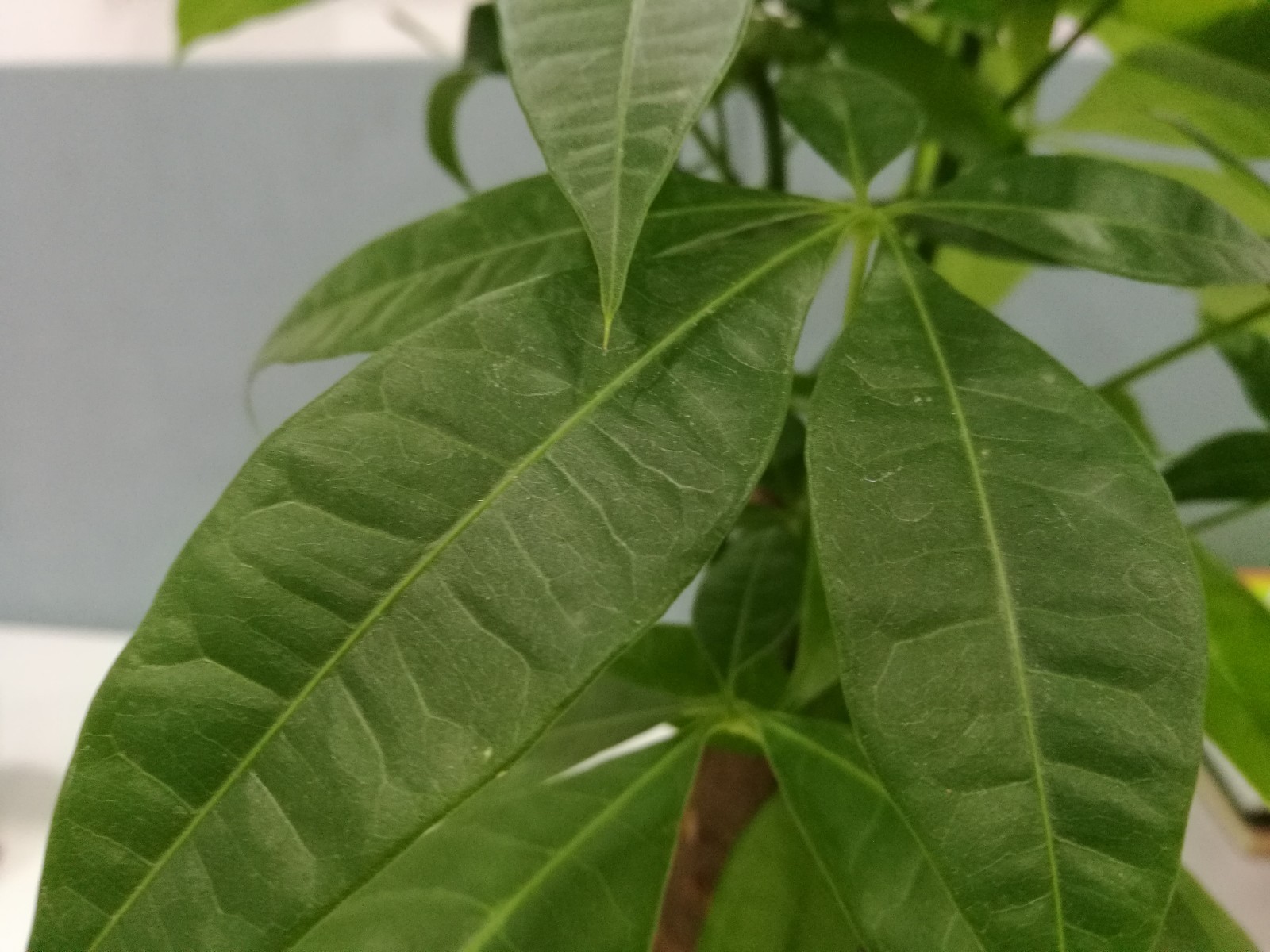 2019国家公务员考试总共要考几门课?分别是什