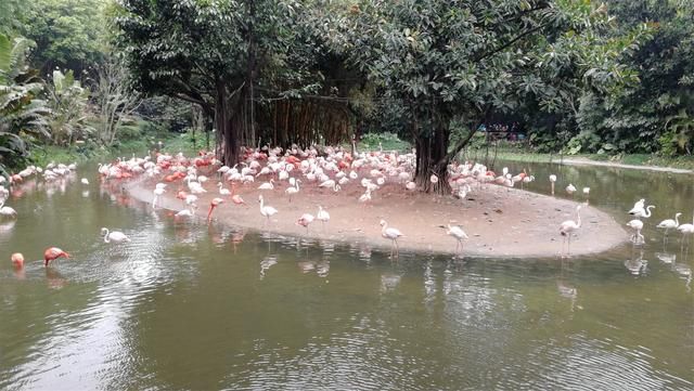 长隆世界,带孩子广州游必去的新景点,广东行6