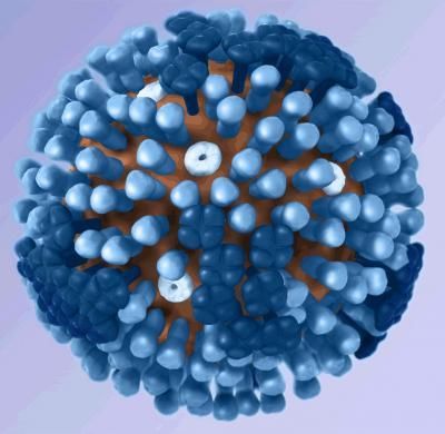 Nature子刊:远紫外线可杀死流感病毒,且不伤害