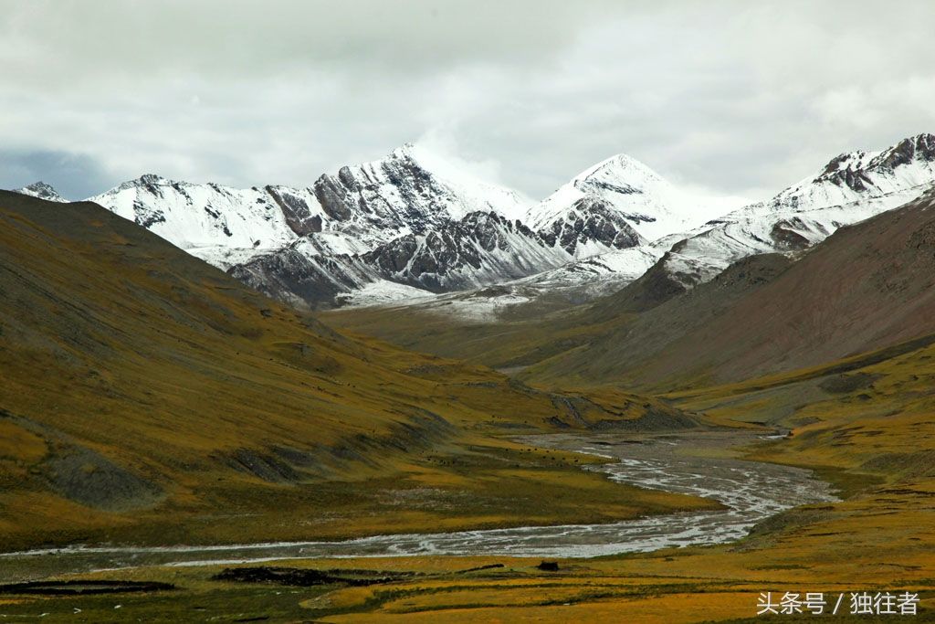 雪山 草甸 河流 海拔4000米以上的高原美景 雪花新闻