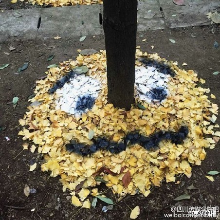 城会玩!高校学生用银杏叶制作表情包