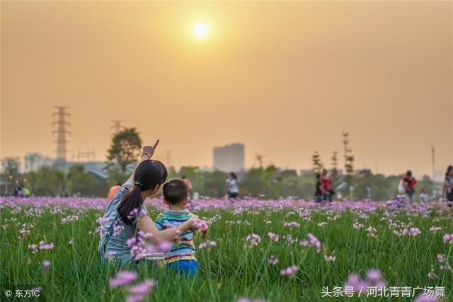 儿行千里母担忧,想着咱的家,想念着咱妈妈