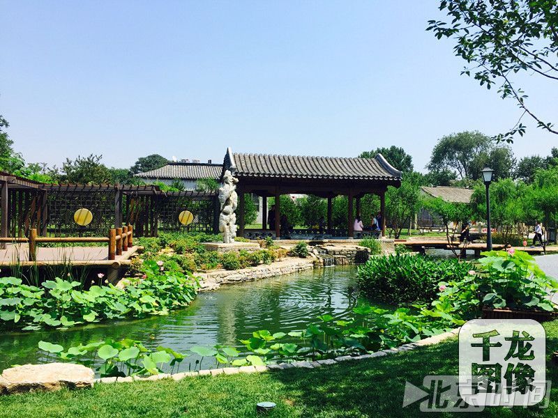 拾掇拾掇,生活在北京越发有滋有味 拾掇拾掇,生活在北京越发有滋有味