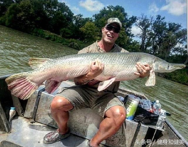健美运动员钓起64公斤巨型鲶鱼,练过健美的他