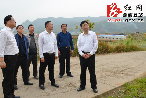 米婷婷 沈菁)4月18日,溆浦县委副书记,县长谢商成先后深入水东镇,卢峰