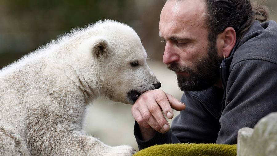 马克将这只小北极熊带回家之后,给他取名为"阿吉",好好的一只动物界