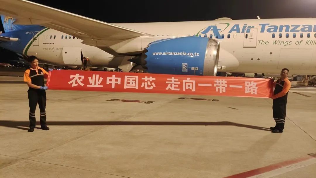 中国自主培育高产蛋鸡、白羽肉鸡种鸡首次走出国门