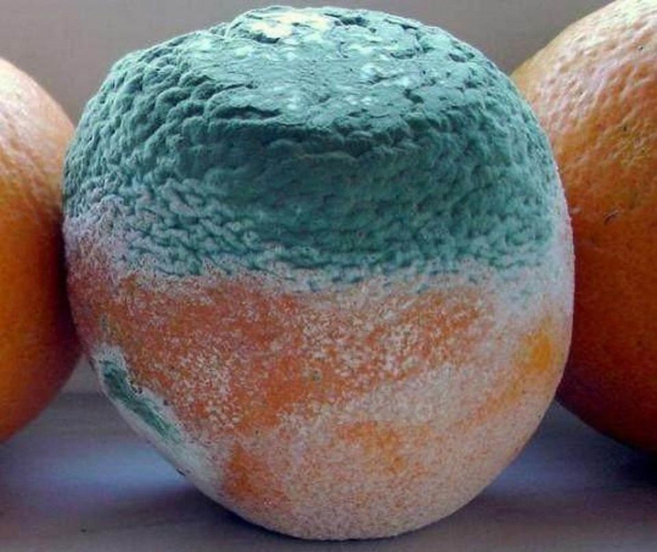 这三种水果不要吃,长久之下有病变风险!可惜好