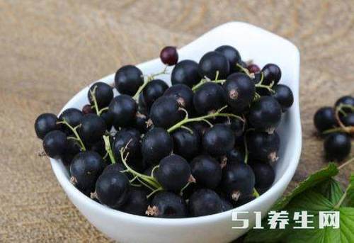 黑加仑是很受女性欢迎的水果,但是食用禁忌不