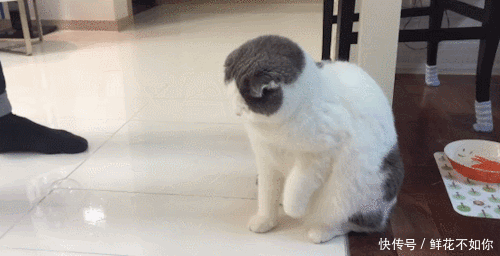 搞笑GIF动图:今儿要不给你露一手你都不知道这