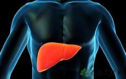 肝功损伤是什么原因