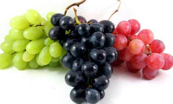 酒靠谱课堂 | 什么样的葡萄酒才是好酒?