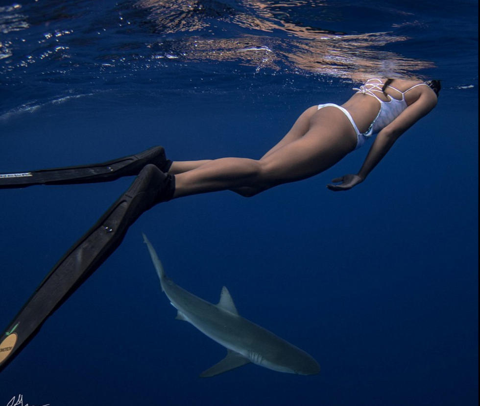 拉伊希望发布这些照片能够改变大家对这些动物的看法：“你必须亲自接触这些动物，才能知道它们的本质是什么，而不仅仅通过看电影和书就下定论。”