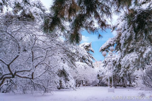 这所985、双一流的大学实力雄厚,分数线低,却