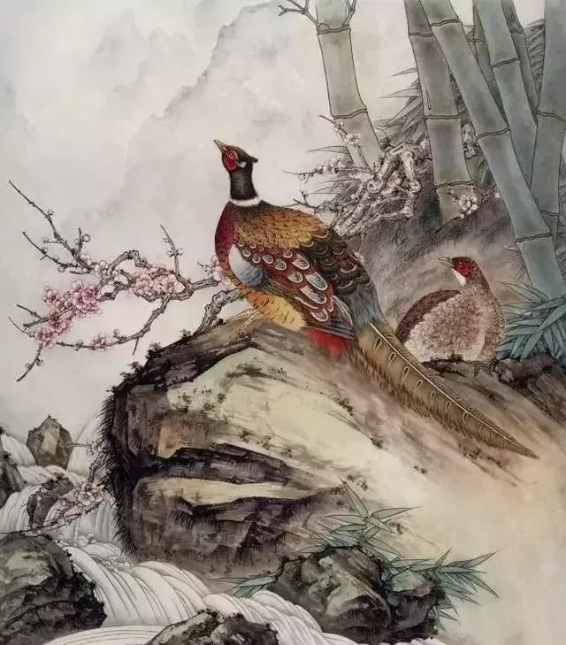 【工笔国画】锦鸡梅竹图画法步骤详解