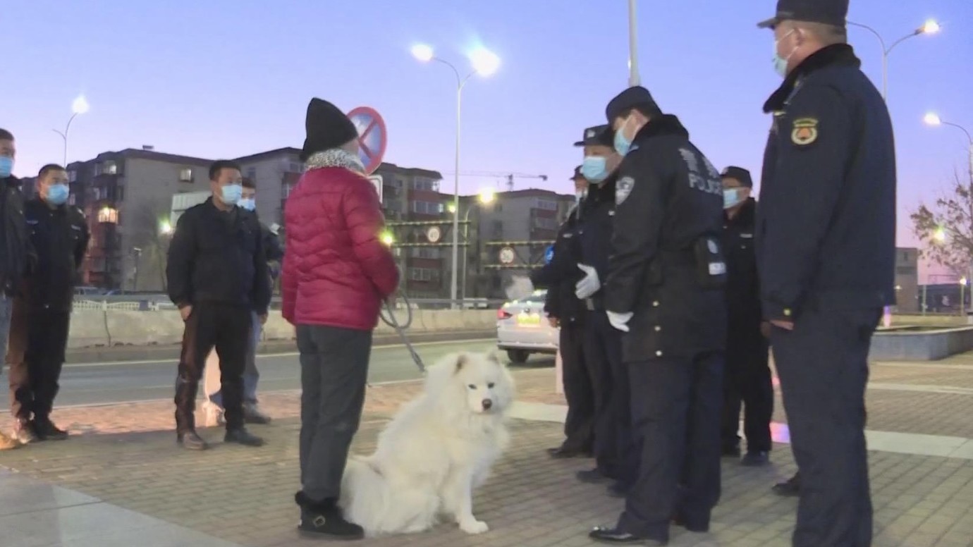 大兴区启动全天候文明养犬宣传执法行动