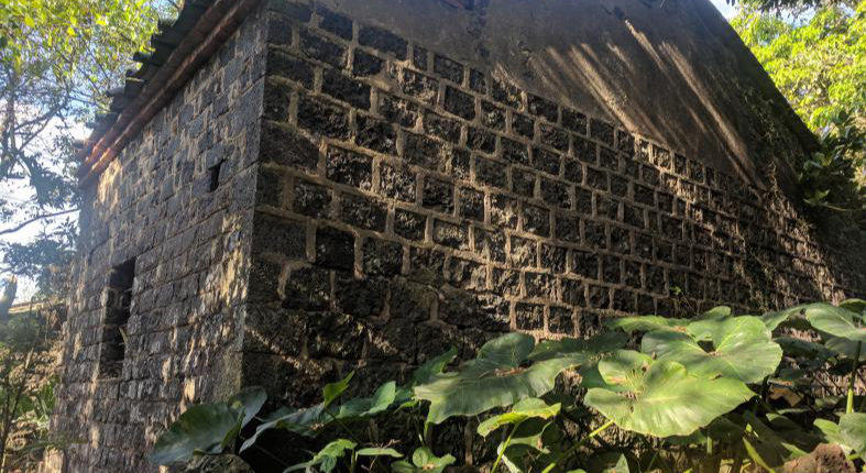 火山村有点“酷”花梨木盖房 这是真“低调” 火山村有点“酷”花梨木盖房 这是真“低调”