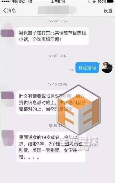 何洁出轨录音证据曝光 赫子铭酒店捉奸未遂 刁