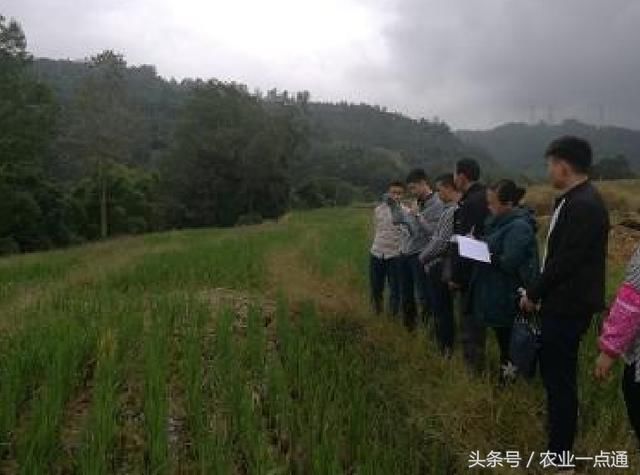 关于农村自留山、自留地、宅基地可以继承吗?