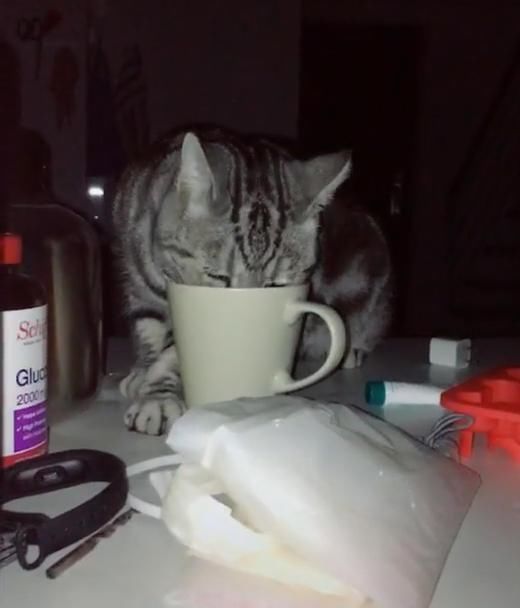 喝水时总觉得味道不对劲,直到网友半夜口渴,一