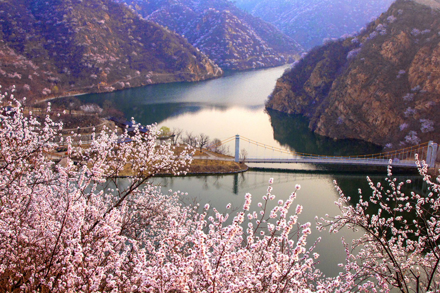 舟行碧水上，桃花渐次开，这里的长城春日风景与众不同