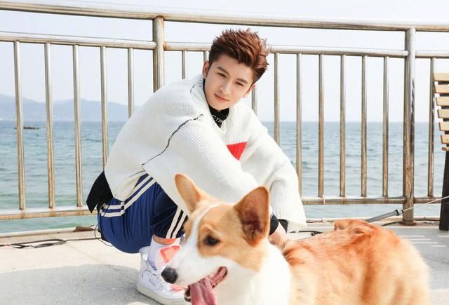 杨幂旗下的艺人都大红大紫,唯独她一直不温不