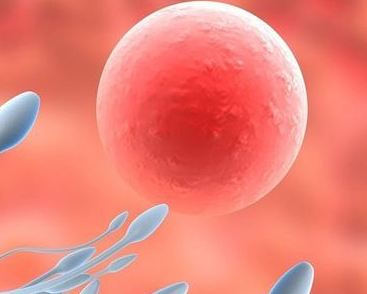 明明有排卵,为何就是怀不上?