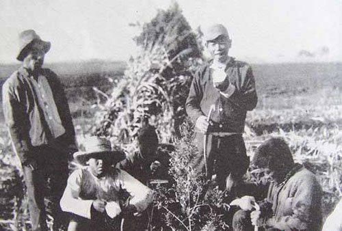 中国汉奸县,为日本侵略者立碑而出名,当地人