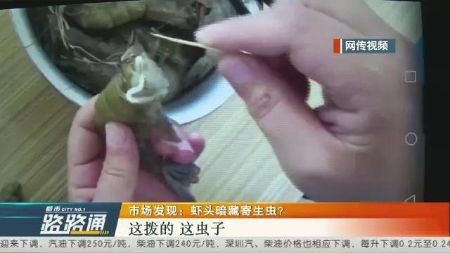 虾头暗藏寄生虫?专家:是公虾输精管 可食 虾头暗藏寄生虫?专家:是公虾输精管 可食