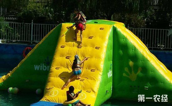 2018年国家农业扶持政策有哪些?哪些农业项目