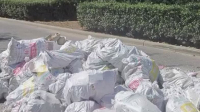 《法治进行时》20200810七吨垃圾倒路边 不仅缺德还违法