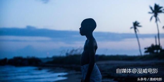 一起来吸猫!盘点在《黑豹》中的22个彩蛋!