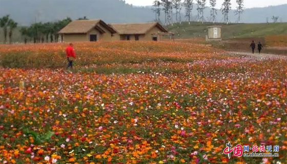 南充江陵镇中法农业科技园将在5月1曰开放