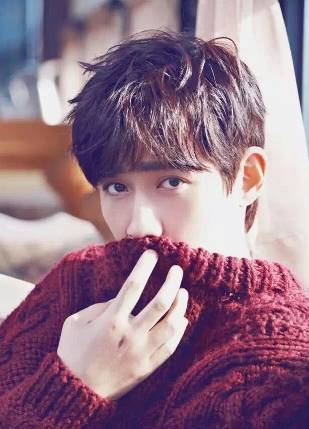 朱一龙目前是公司最大的摇钱树,为什么团队还