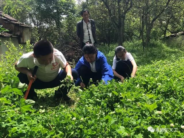 我的云南山区支教体验与感悟 原创 准格尔义工