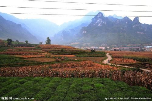 2018年起,农村不允许办酒席了,你们怎么看?