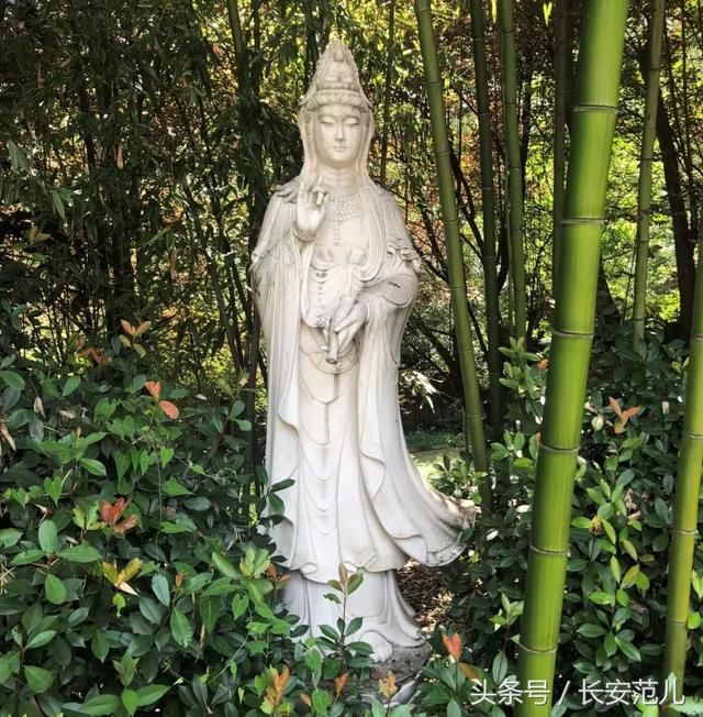 谁的?秦岭这处超级别墅,奢华到令人发指!