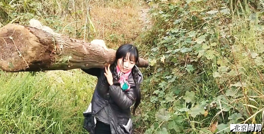 进入11月，便迎来了彝族新年，解古阿星上山将一棵大树搬回家里当柴烧，近150斤重的树干，解古阿星却得心应手。因为父亲的残疾，家里丧失经济支柱，解古阿星成为村里最为贫困的一户人。解古阿星从小就每天干农活，随着年龄的增大力气也越来越大。