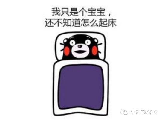 每早5分钟就能迅速出门的新技能