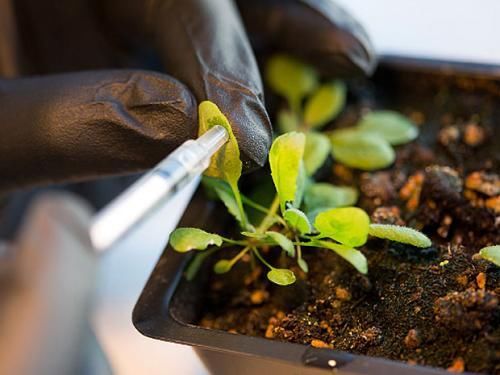 未来5年什么样的农民在农村里能挣大钱,哪类人