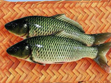 孕妇梦见自己逮了好多鲤鱼,寓意与解读 孕妇梦见自己逮了好多鲤鱼,寓意与解读