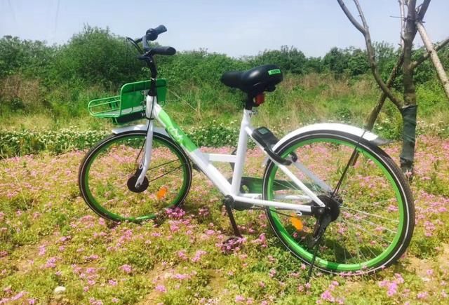 共享单车倒闭潮过后 2018年你还会选择共享单