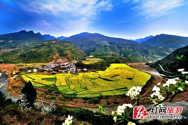 永顺县乡村旅游小溪镇贺喜村油菜花节将于3月20日上午10时38分开幕