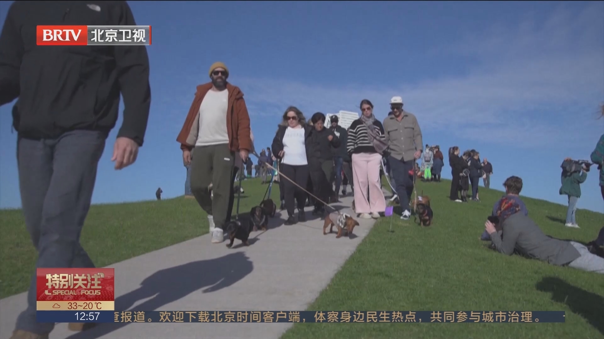 1385只腊肠犬齐聚墨尔本 打破吉尼斯世界纪录