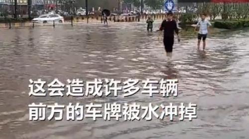 男子依靠捡车牌赚钱 网友:你们那缺人手吗