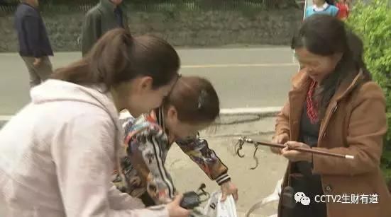 乡村振兴中国行:走进四川都江堰