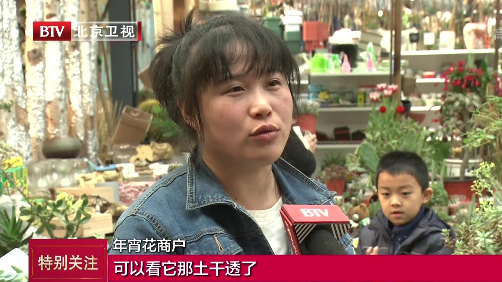 千万盆年宵花投放北京市场